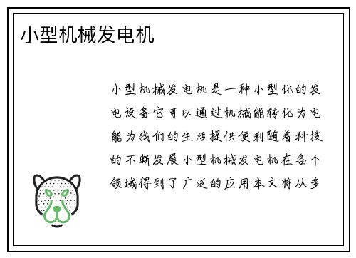 小型机械发电机